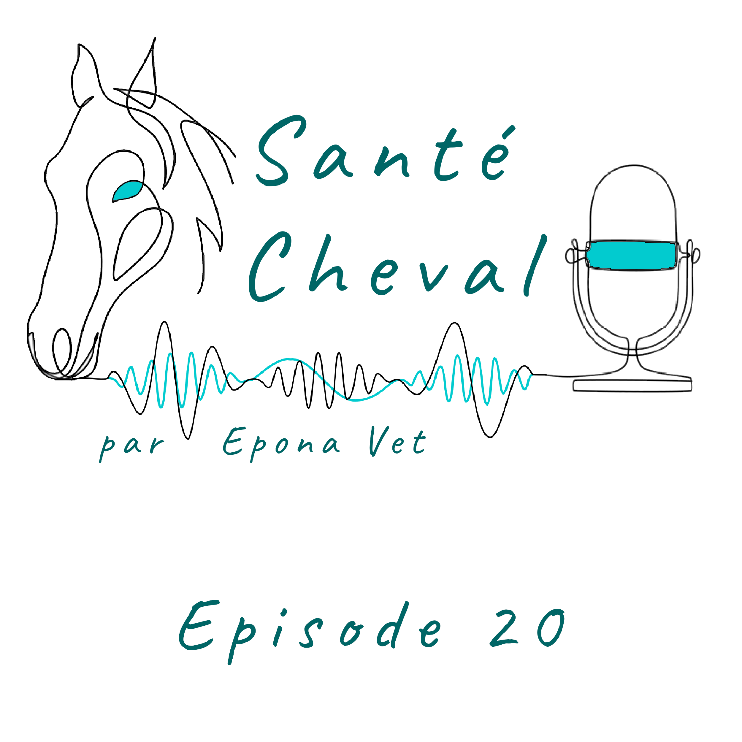 Ep. 20 – Gestion des chevaux à ulcères gastriques episode artwork